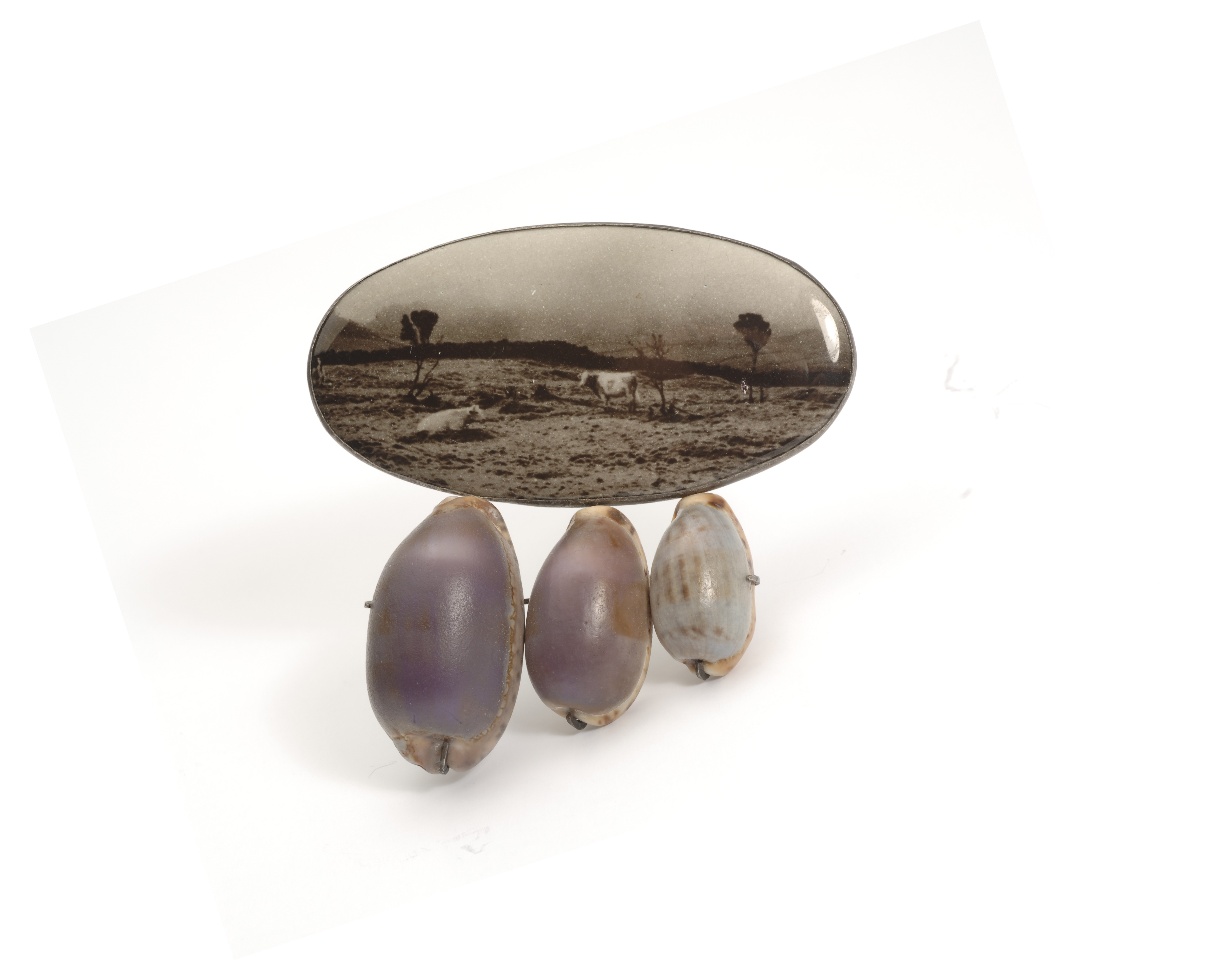 Bettina Speckner, "Untitled" Brooch (2004). Artist’s photograph enameled on silver, cowrie shells, amethysts. Courtesy of a private collection. Photo credit: Bettina Speckner, Museum of Arts and Design.